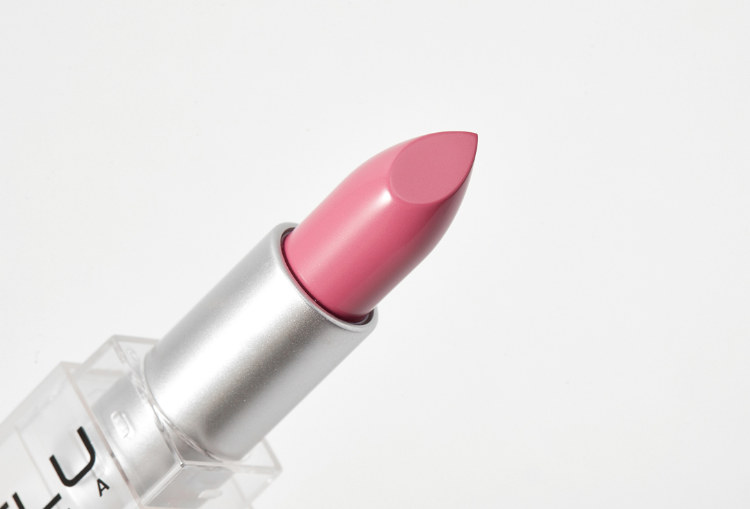 INFLUENCE beauty matte lipstick INFLUENCE 05 4 g INFLUENCE beauty matte lipstick INFLUENCE