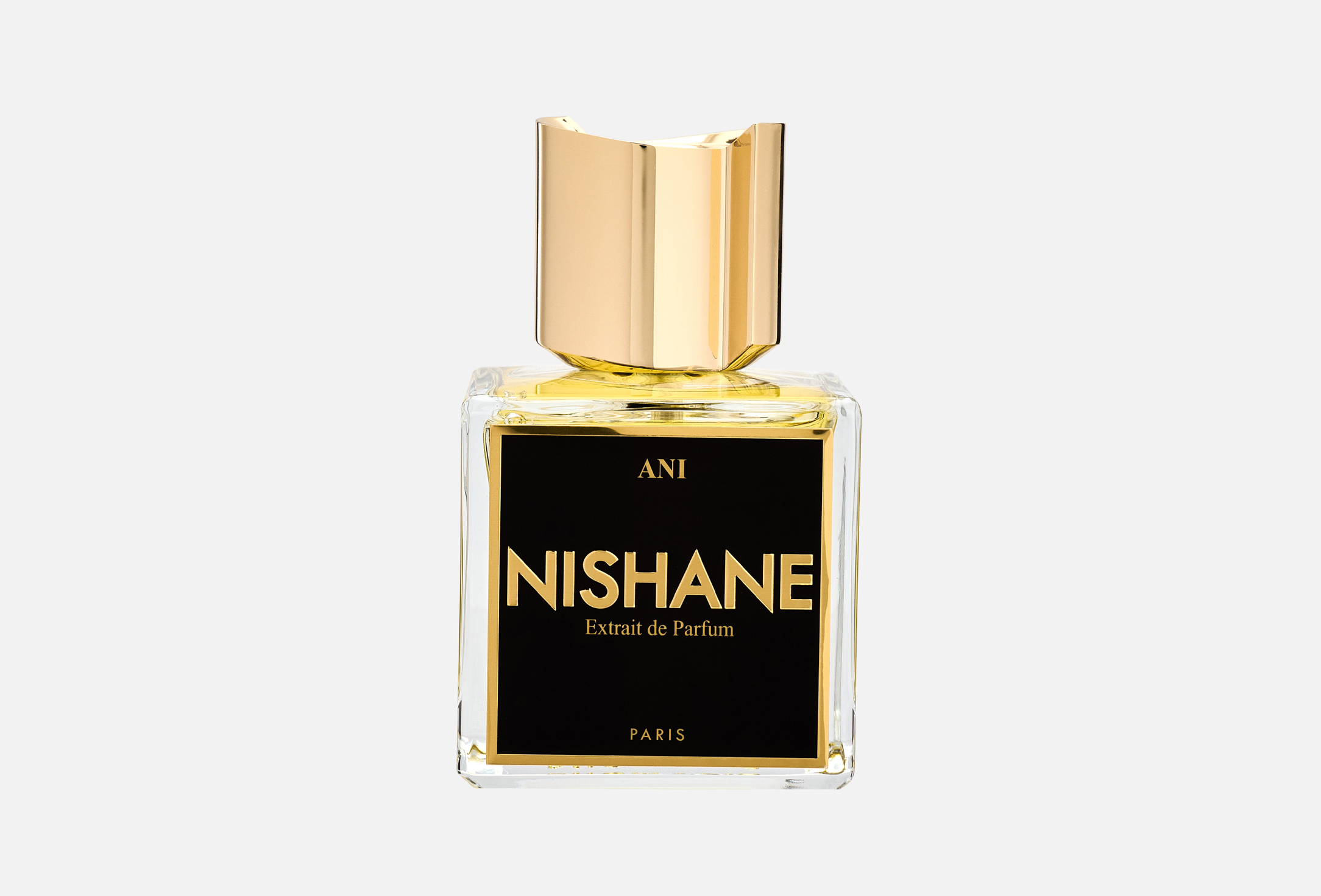 Ani 100