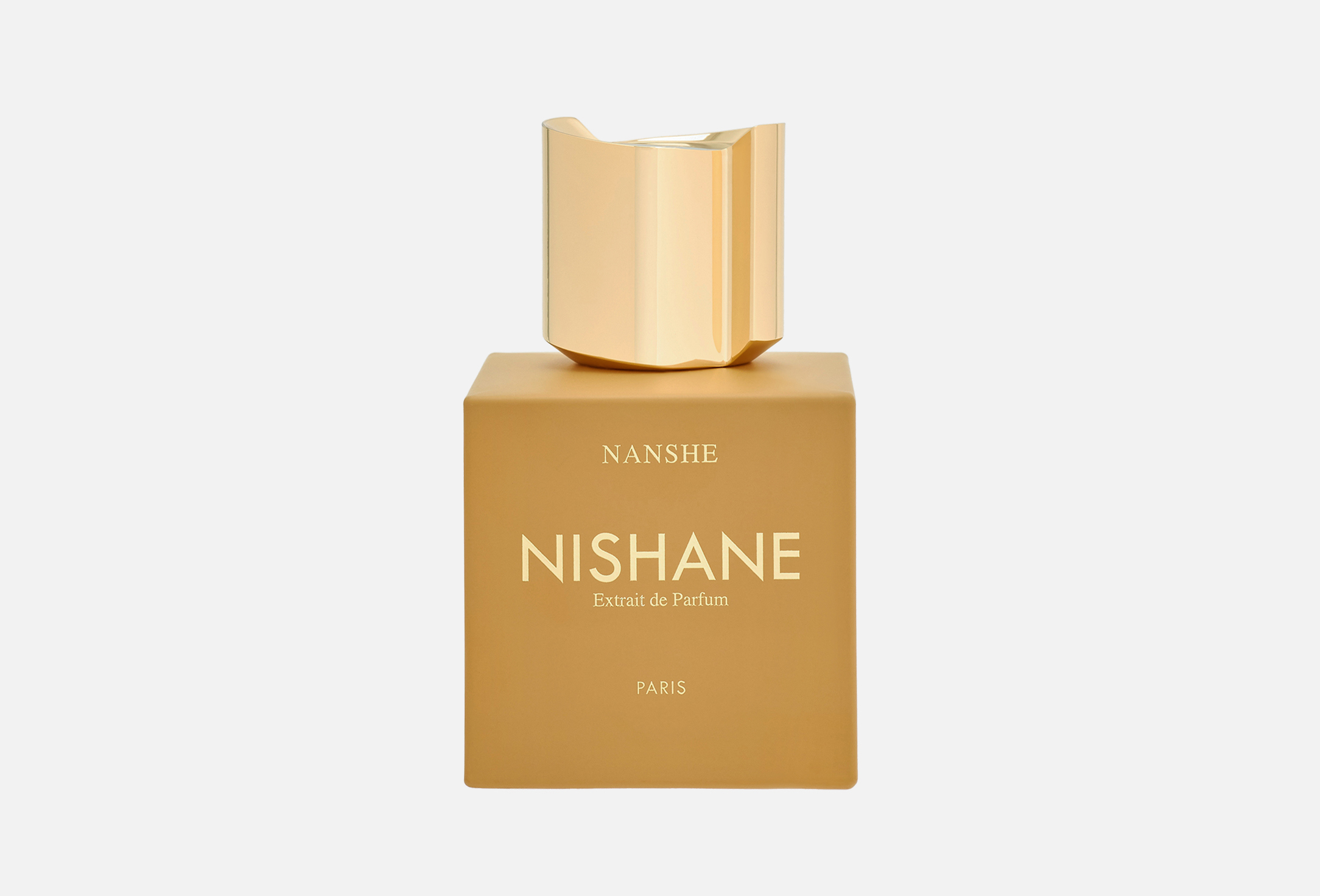 NANSHE 100