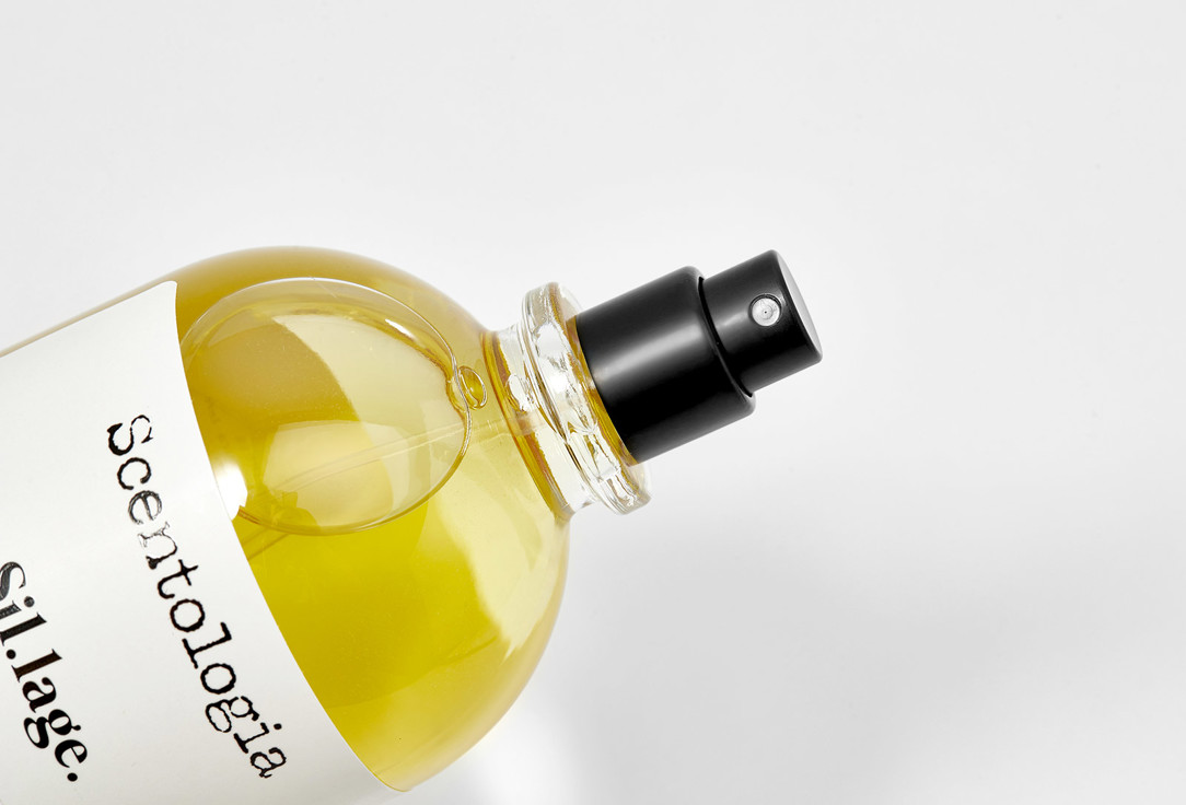 سينتولوجيا ماء عطر سي.لاج