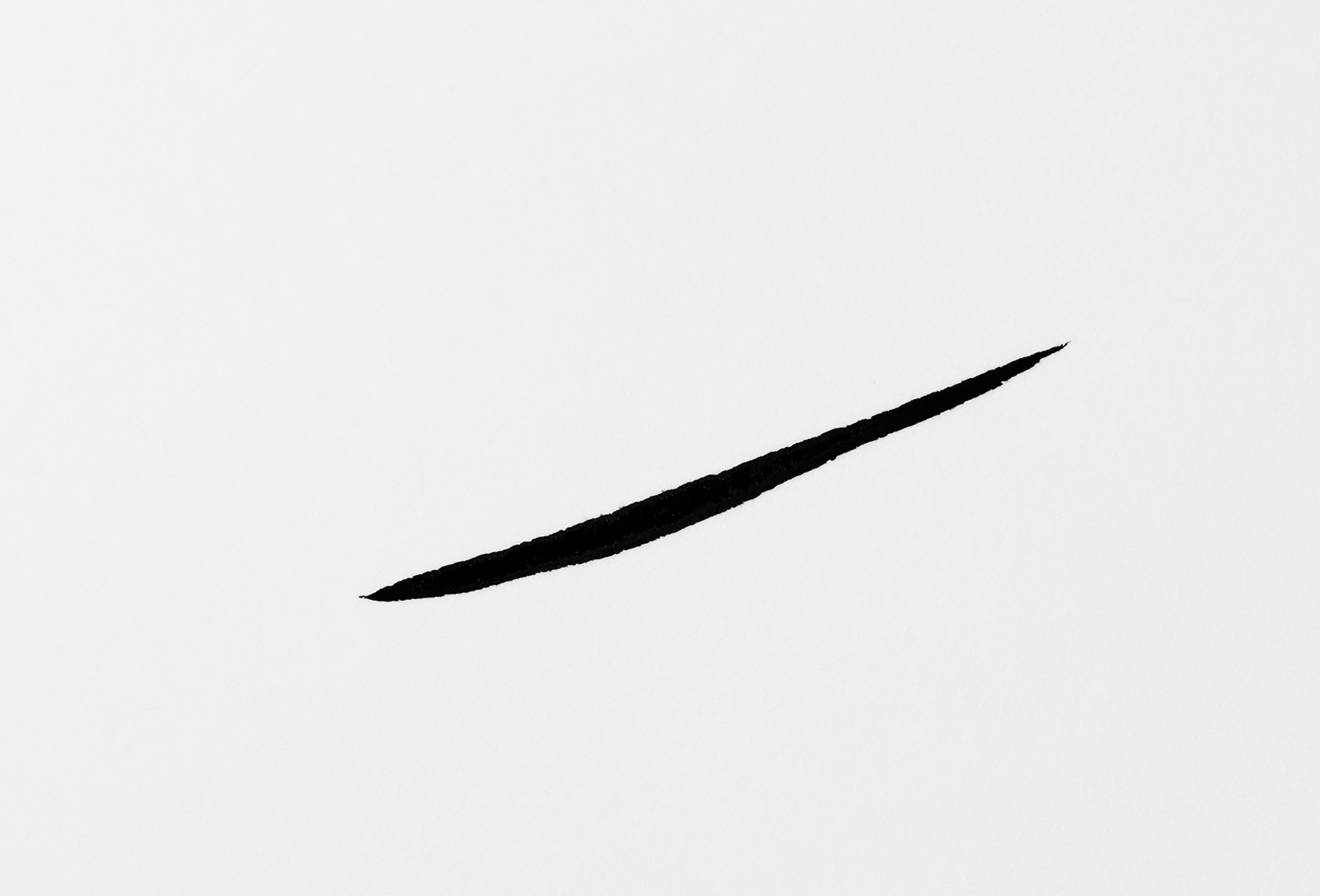 DEBORAH MILANO Liquid eyeliner Formula pura
