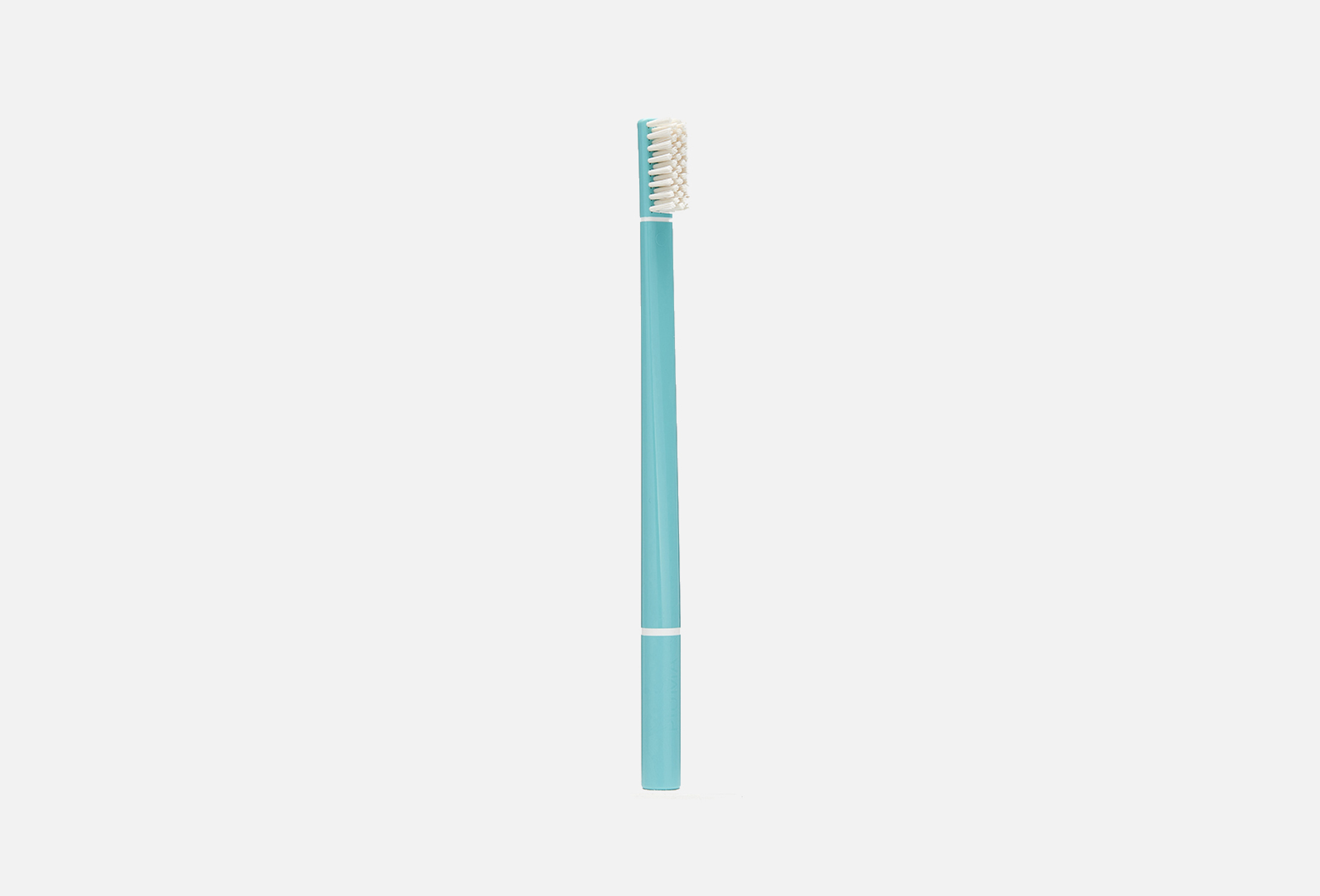 T03 Single Pack Echinacea Turquoise  1 