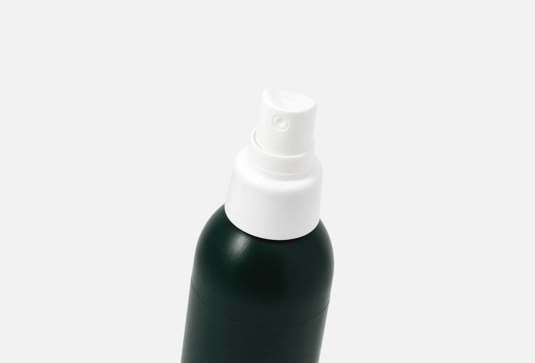 PHILIP KINGSLEY Thickening Protein Spray DENSITY