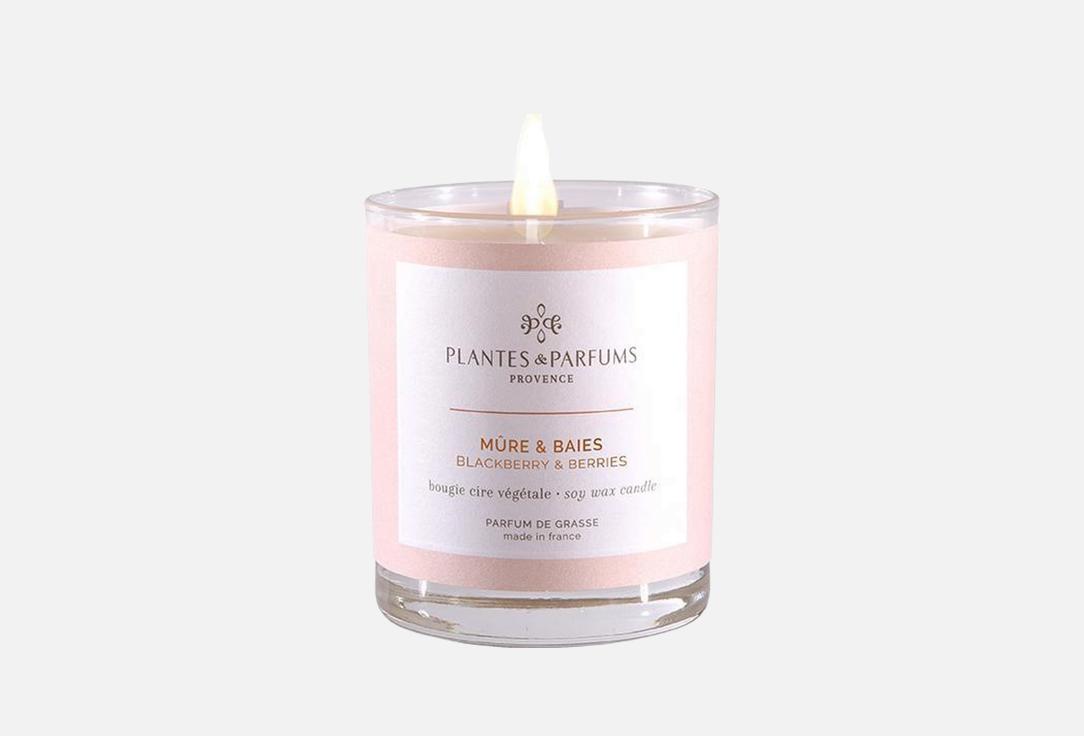 Plantes et Parfums de Provence Perfumed Candle Blackberry & Berries