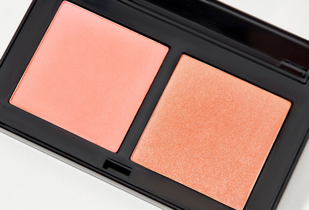 Pastel Cosmetics Matte & Shimmering Blush Duo Cheek To Cheek