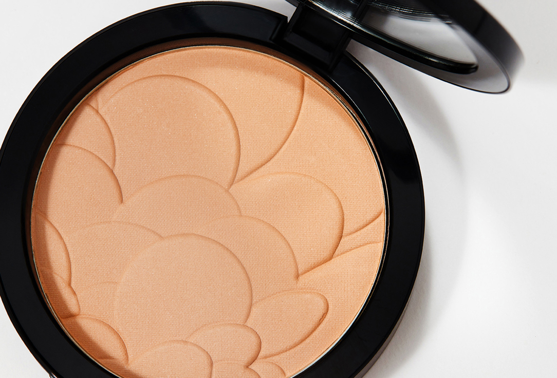 Pastel Cosmetics Compact face powder Profashion Advanced