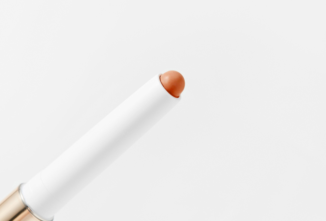 Sisley Concealer Pen Stylo Correct
