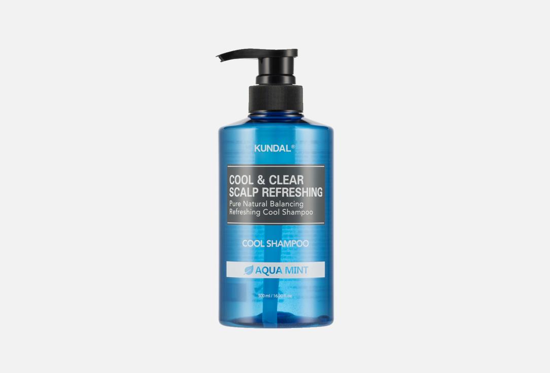 Kundal Refreshing shampoo aqua mint scent