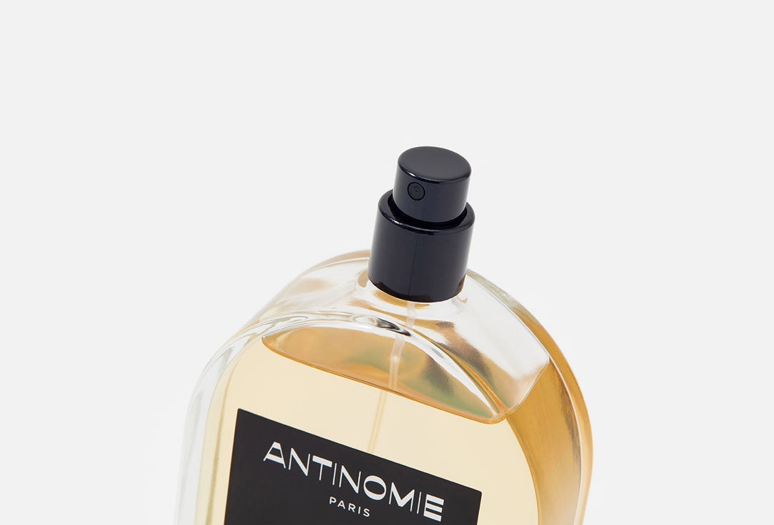 ANTINOMIE Eau de Parfum Danse Passive