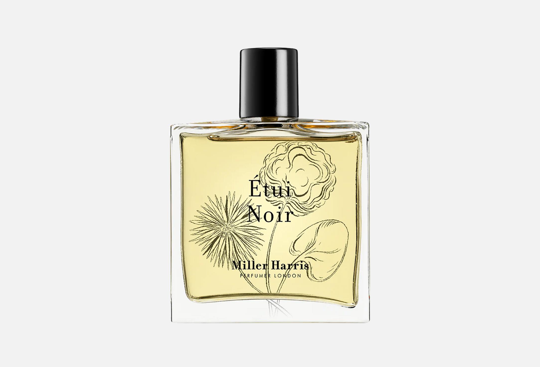 Etui noir  100 