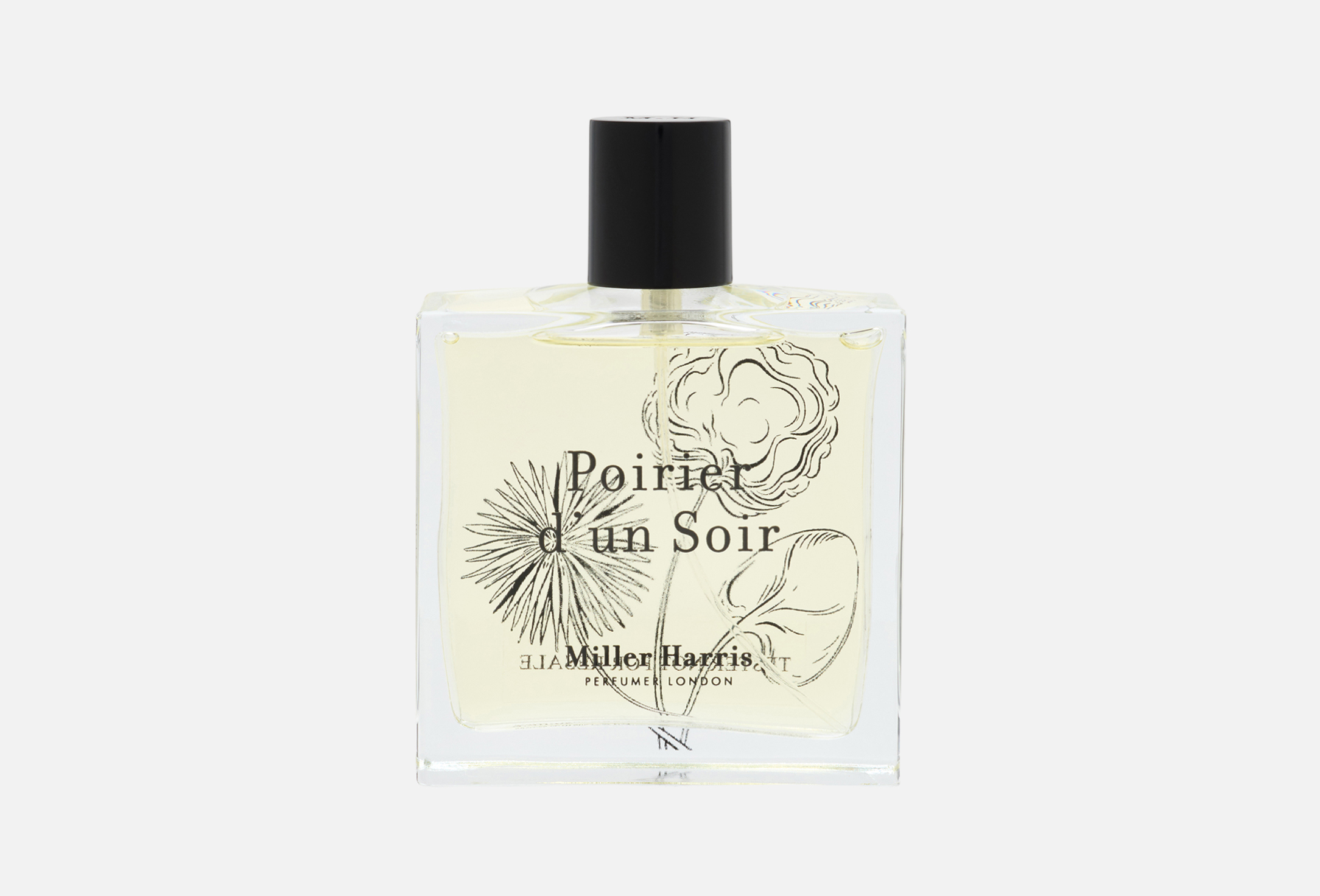 Poirier d'un soir  100 