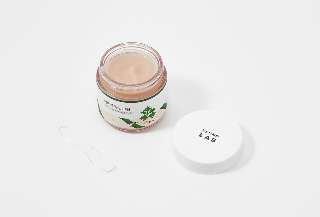 Round Lab Moisturizing Face Cream MUGWORT CALMING CREAM