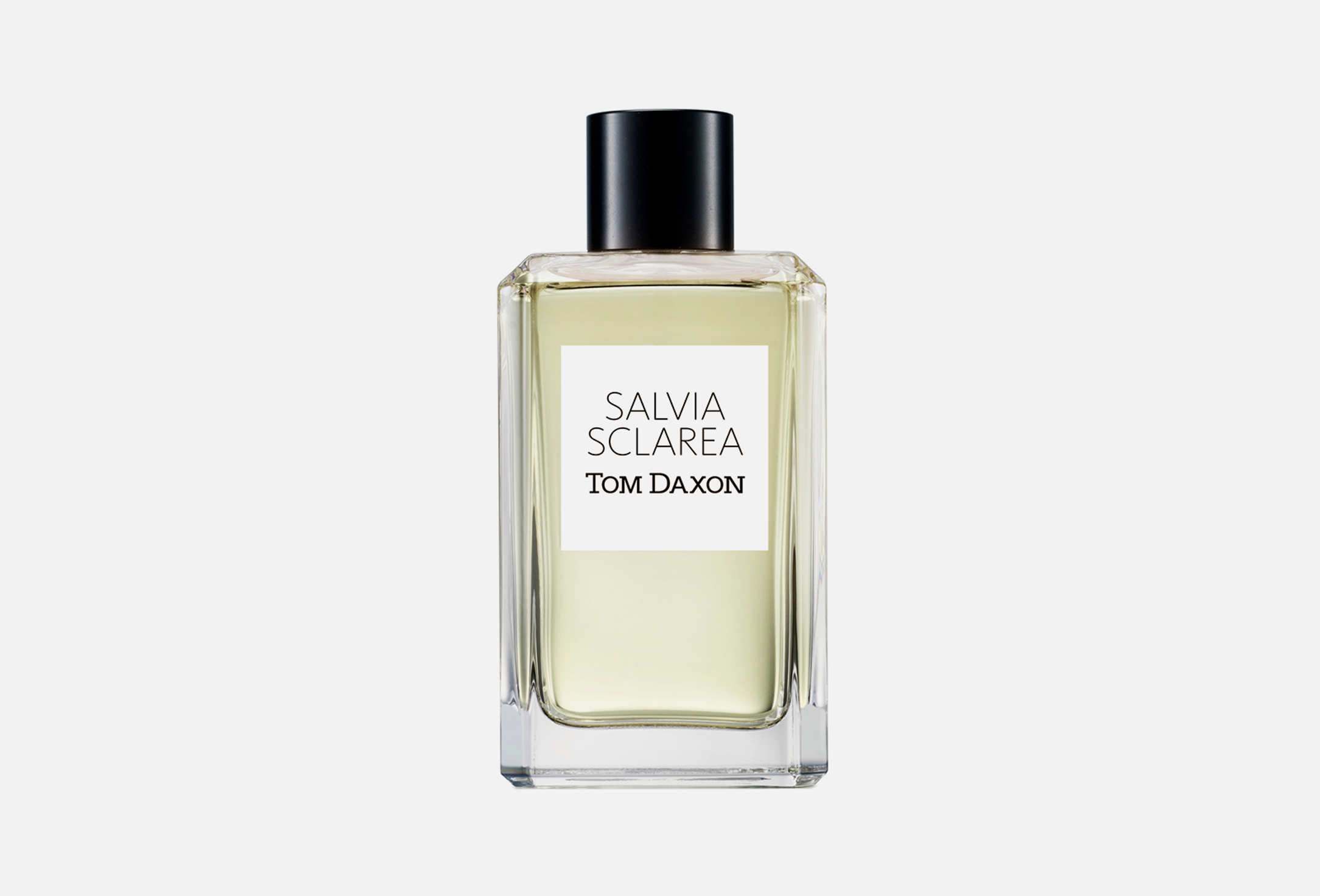 سالفيا سكلاريا 100