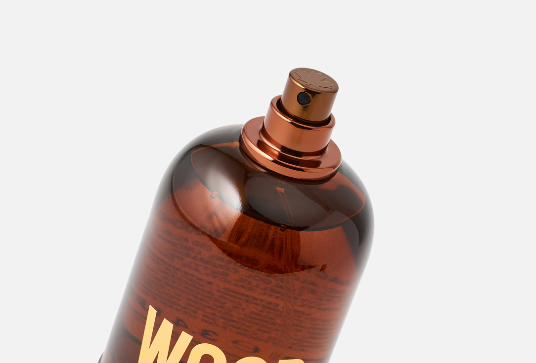 Dsquared2 Eau de Toilette Wood Pour Homme 100 ml Dsquared2 Eau de Toilette Wood Pour Homme