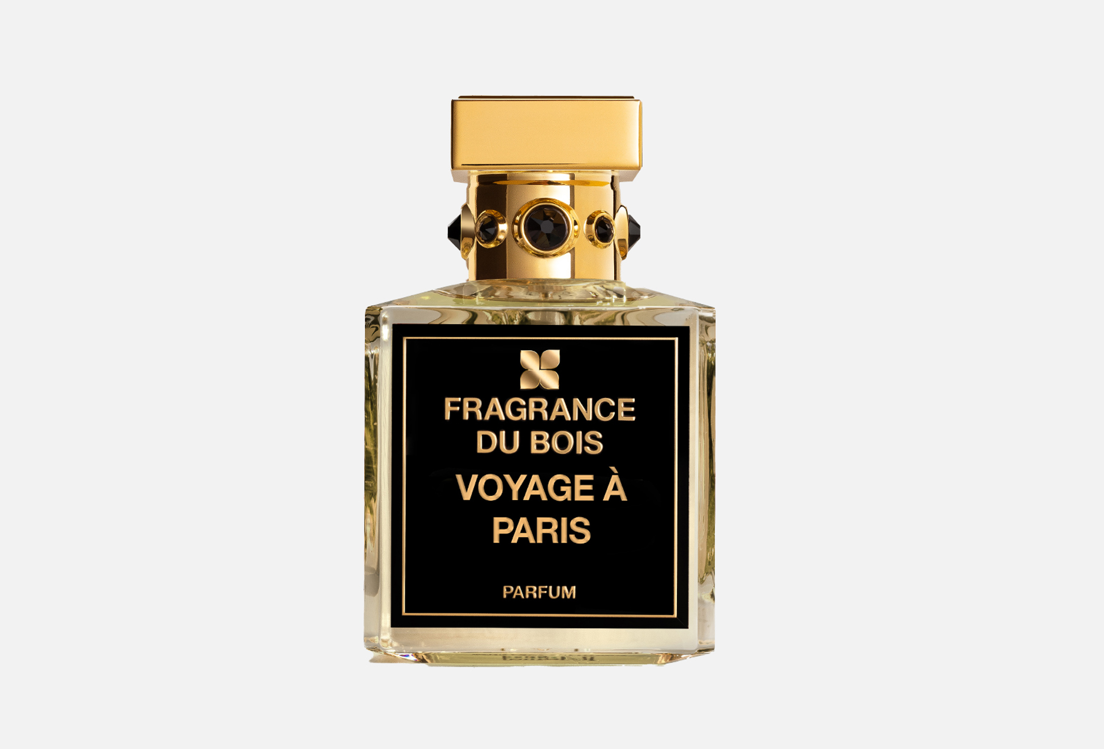 Voyage à Paris  