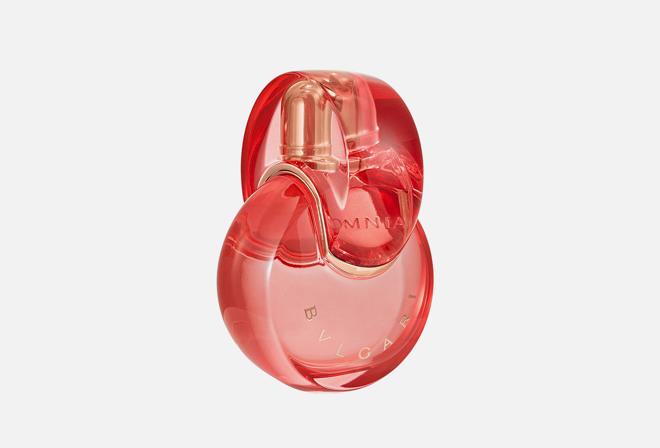 Omnia coral  100 