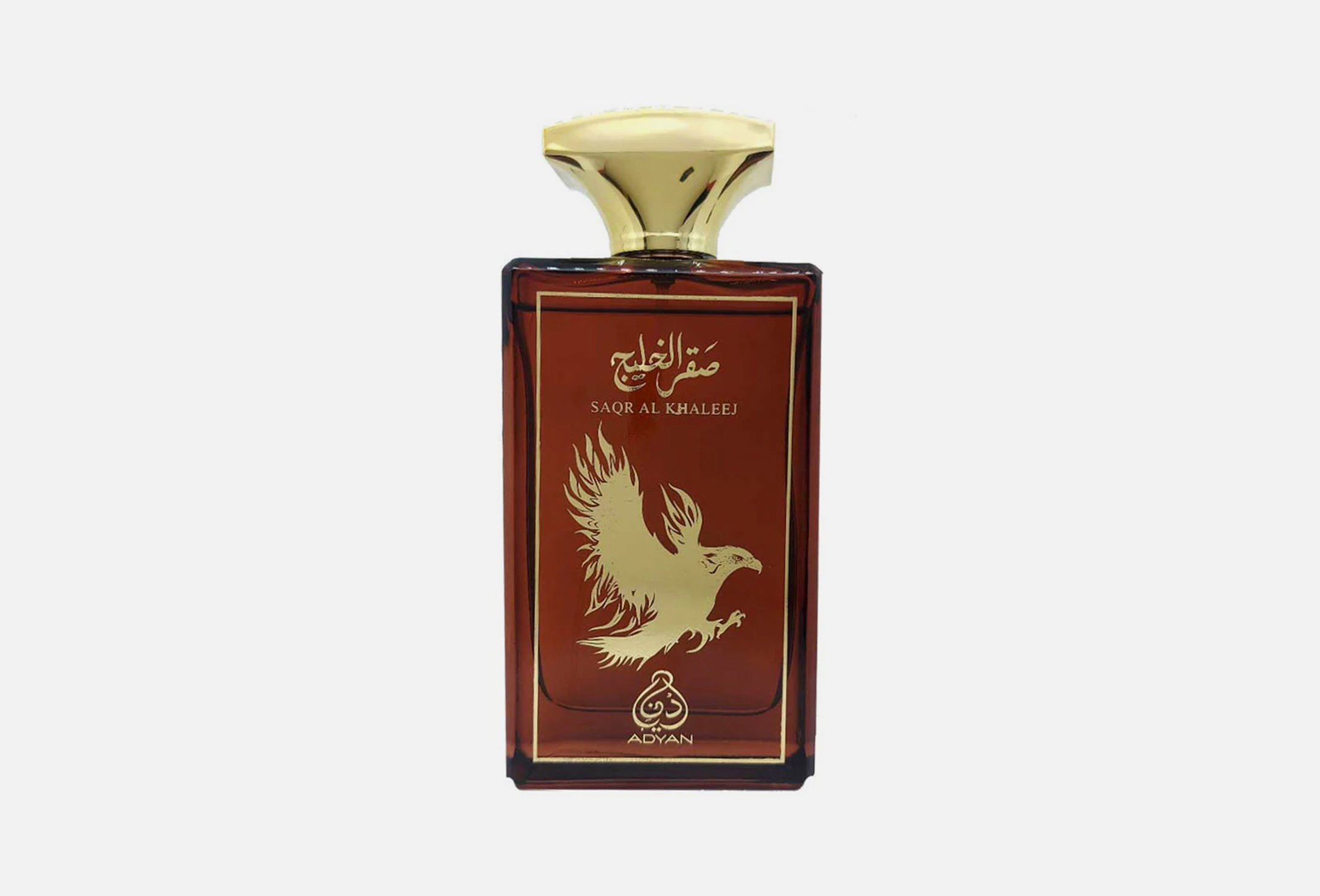 Saqr Al Khaleej  100 