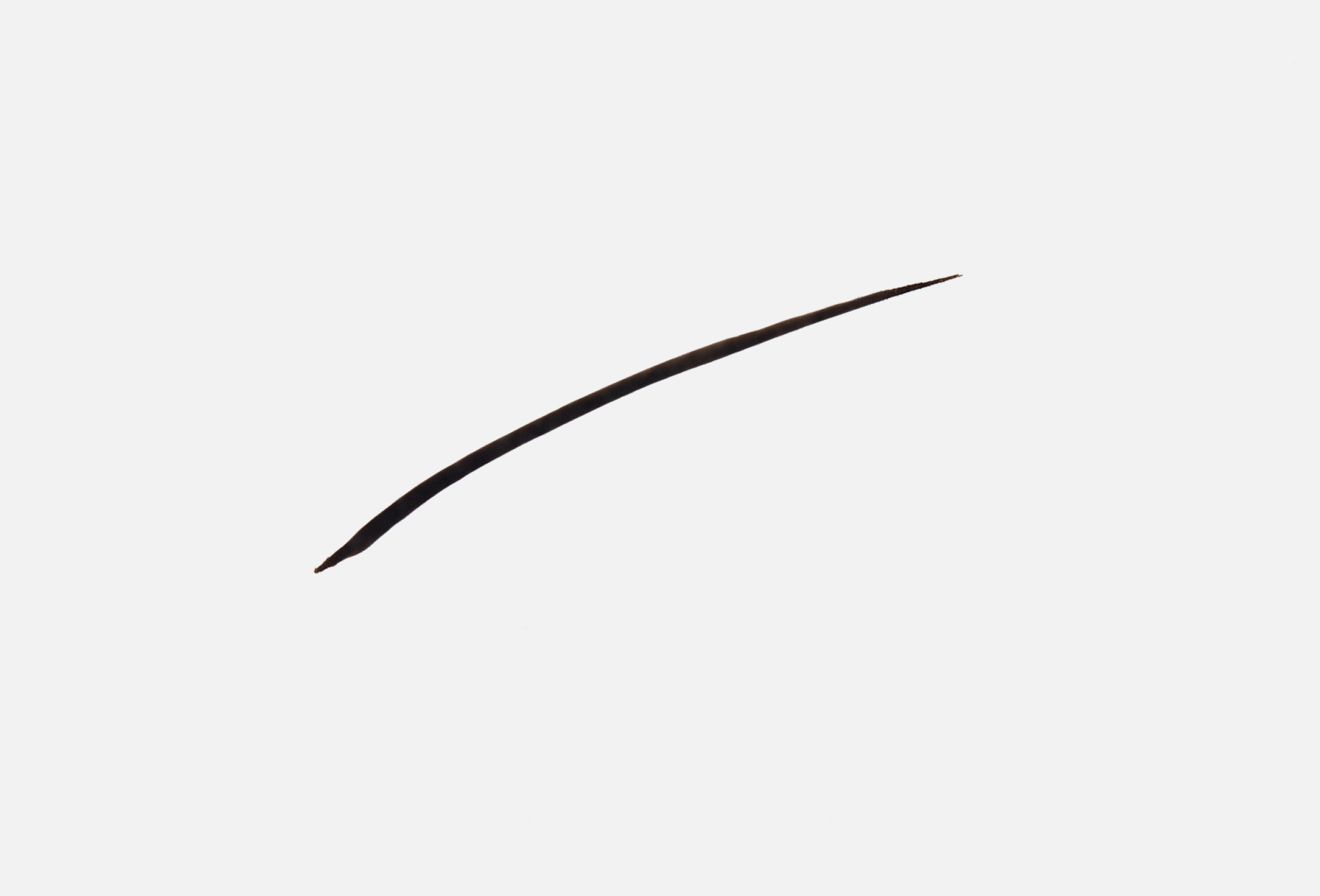 INFLUENCE beauty Eyeliner Cyberwing