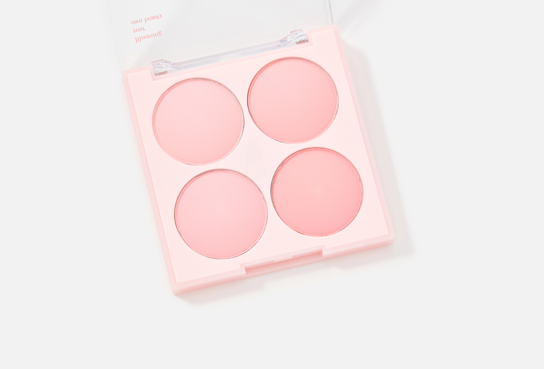 Dasique Blush Palette Blending Mood Cheek
