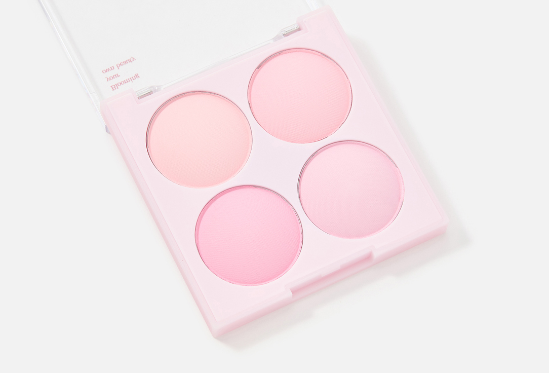 Dasique Blush Palette Blending Mood Cheek