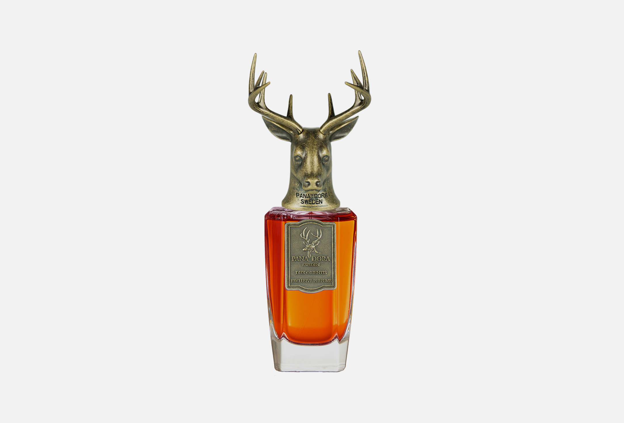 Dux Orientis 100