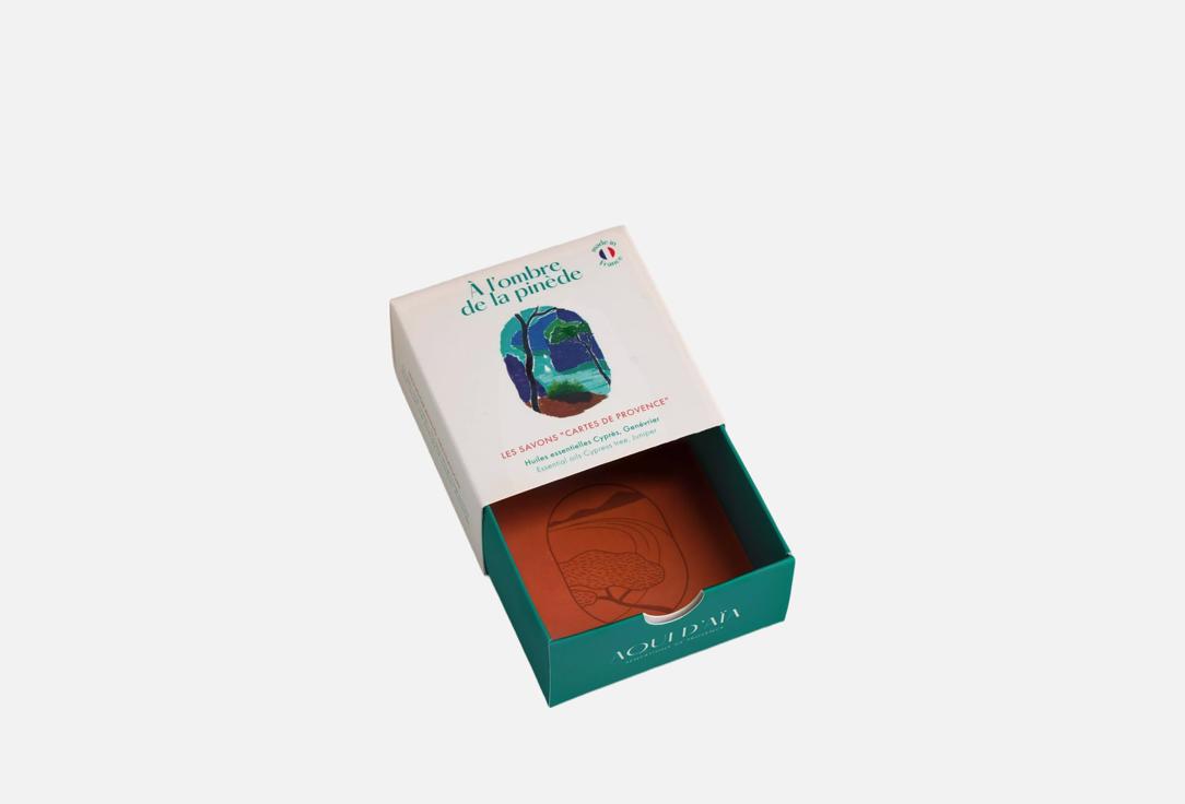 AQUI D AIA Cleansing Natural Soap In the Shade Pine Tree Cypress Juniper
