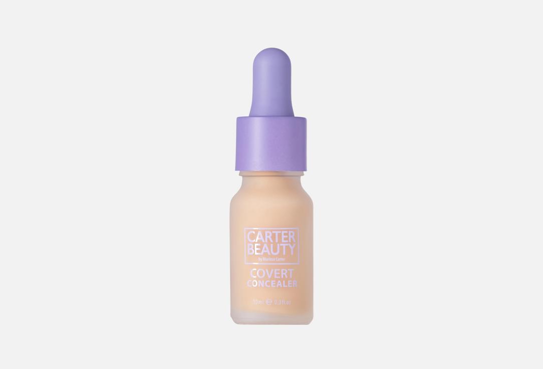 CARTER BEAUTY Жидкий консилер для лица Covert Concealer