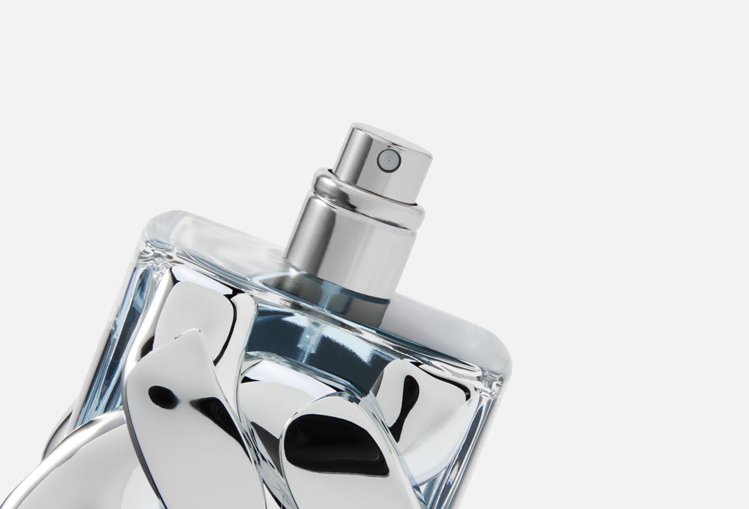 Michael Kors Eau de Parfum pour Homme