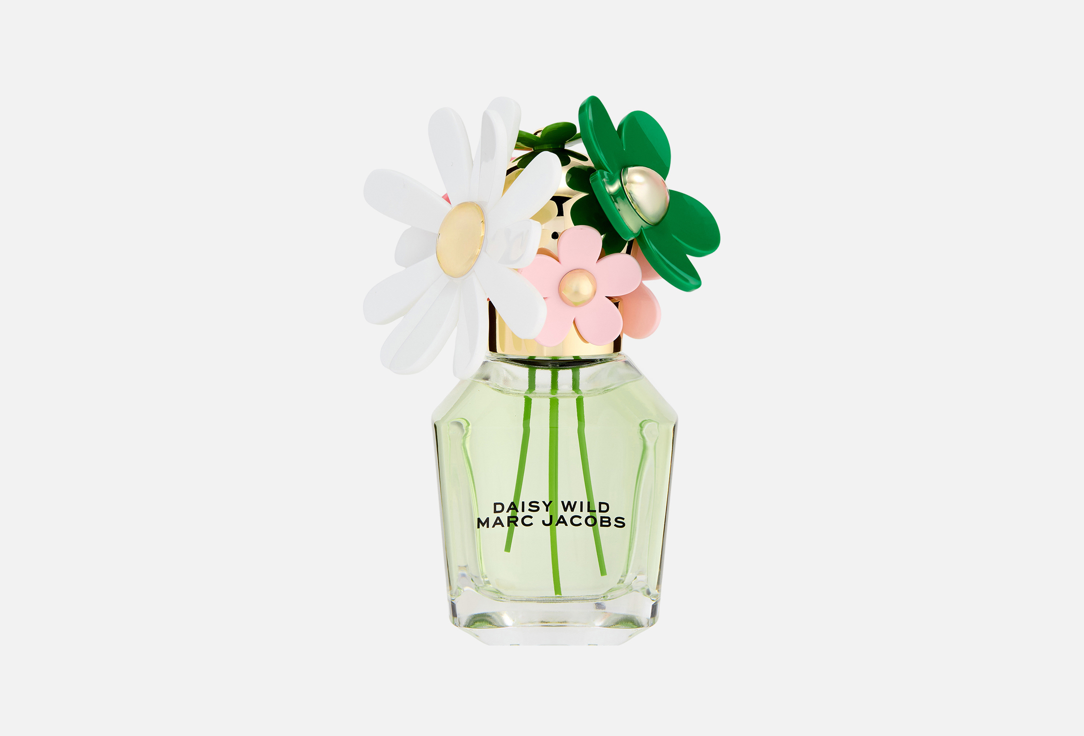 Daisy wild  50 