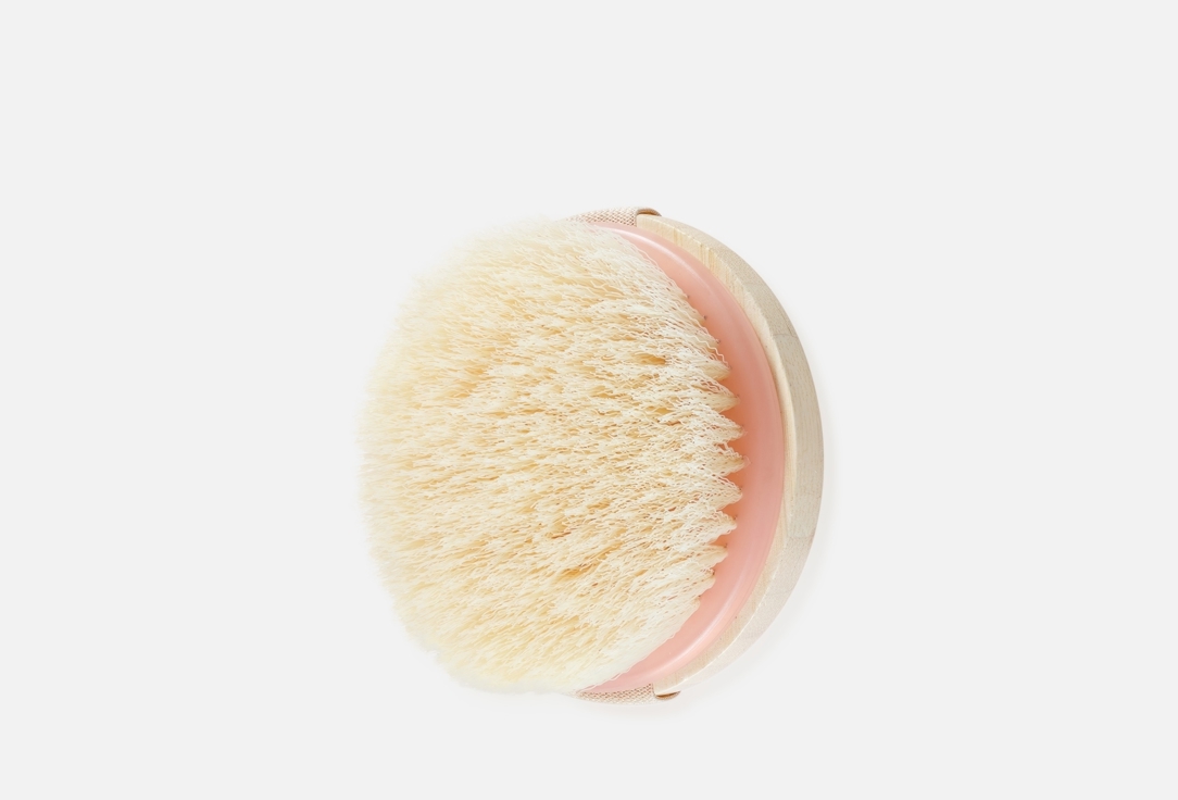 EcoTools Body Brush Dry Body Brush 1 pcs EcoTools Body Brush Dry Body Brush