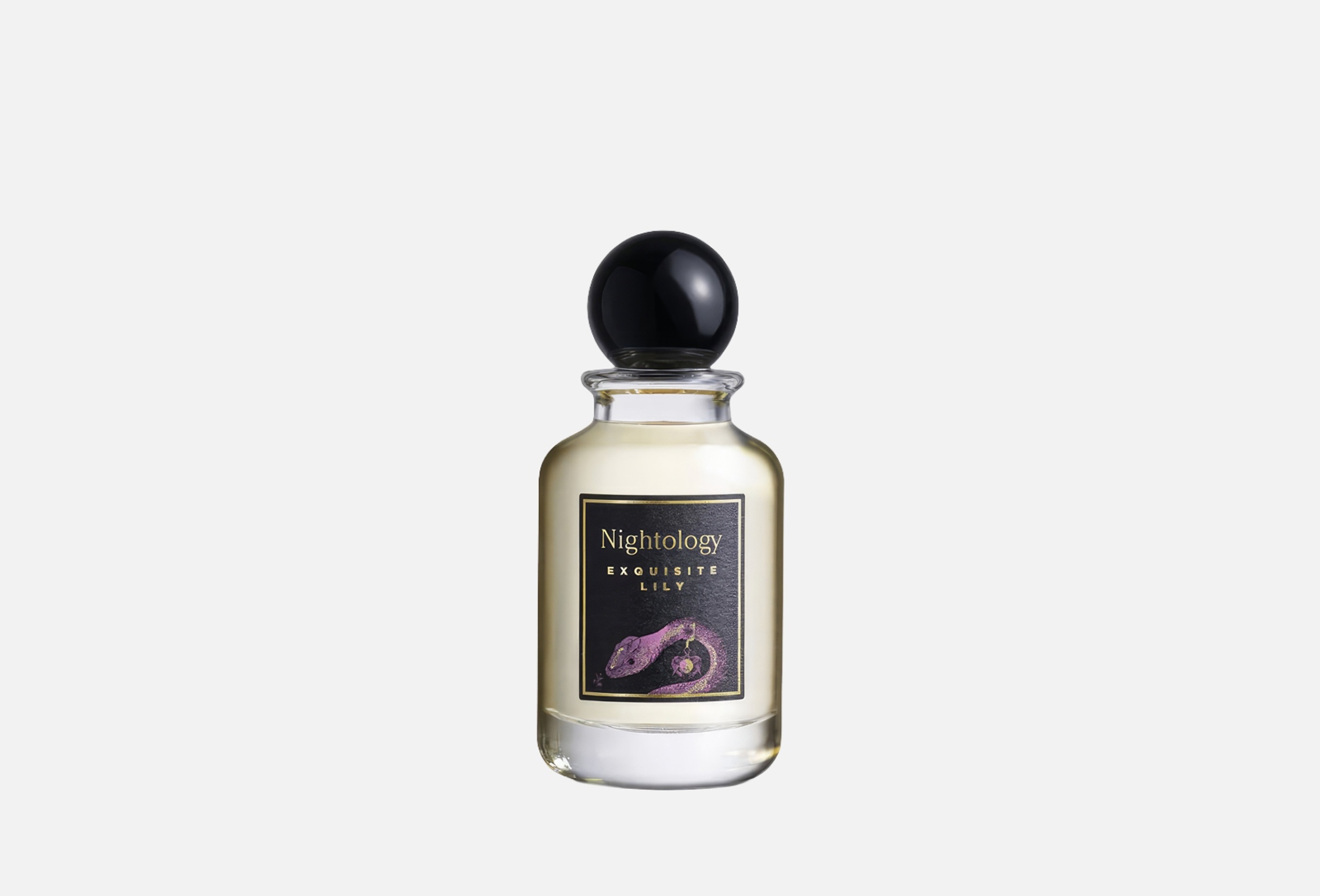 EXQUISITE LILY 100