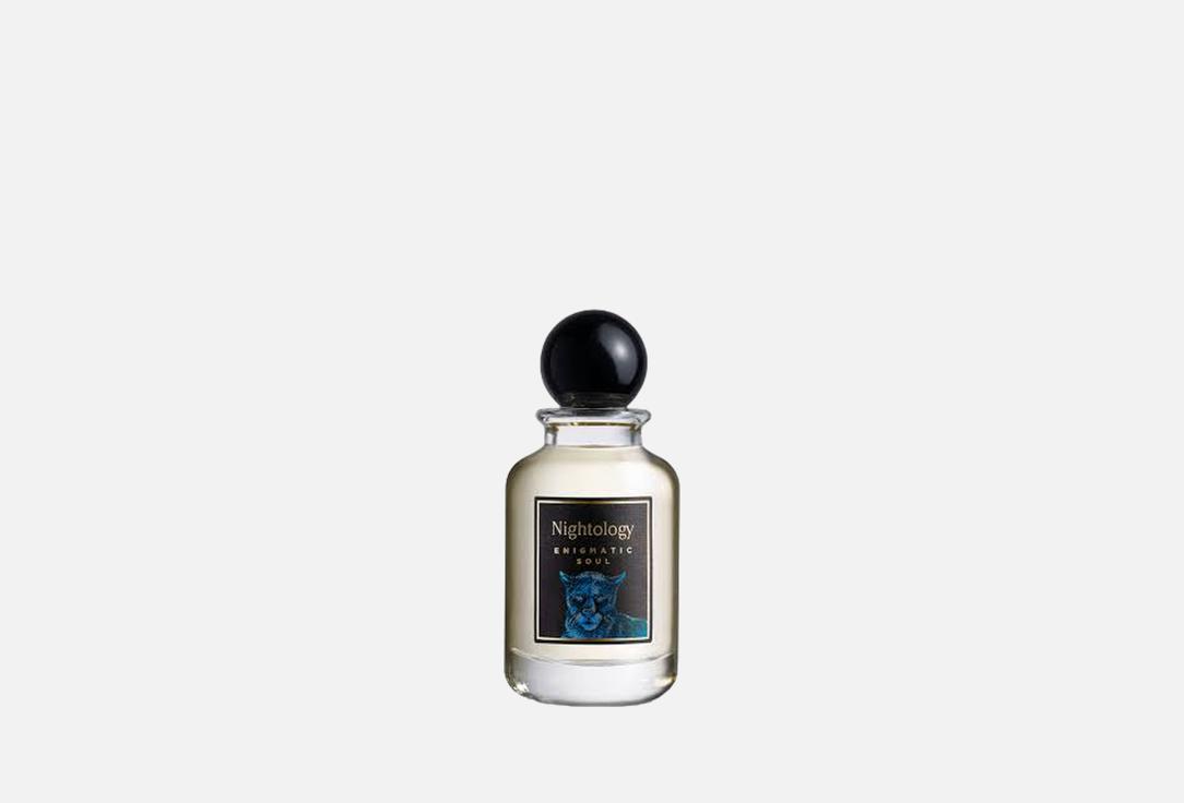 نايتولوجي ماء عطر إنيغمايتيك سول 100 مل نايتولوجي ماء عطر إنيغمايتيك سول