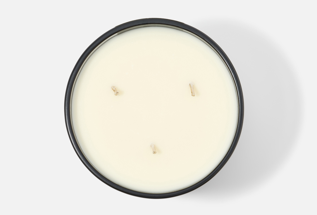 Max Benjamin 3 WICK CANDLE Lemongrass & Ginger