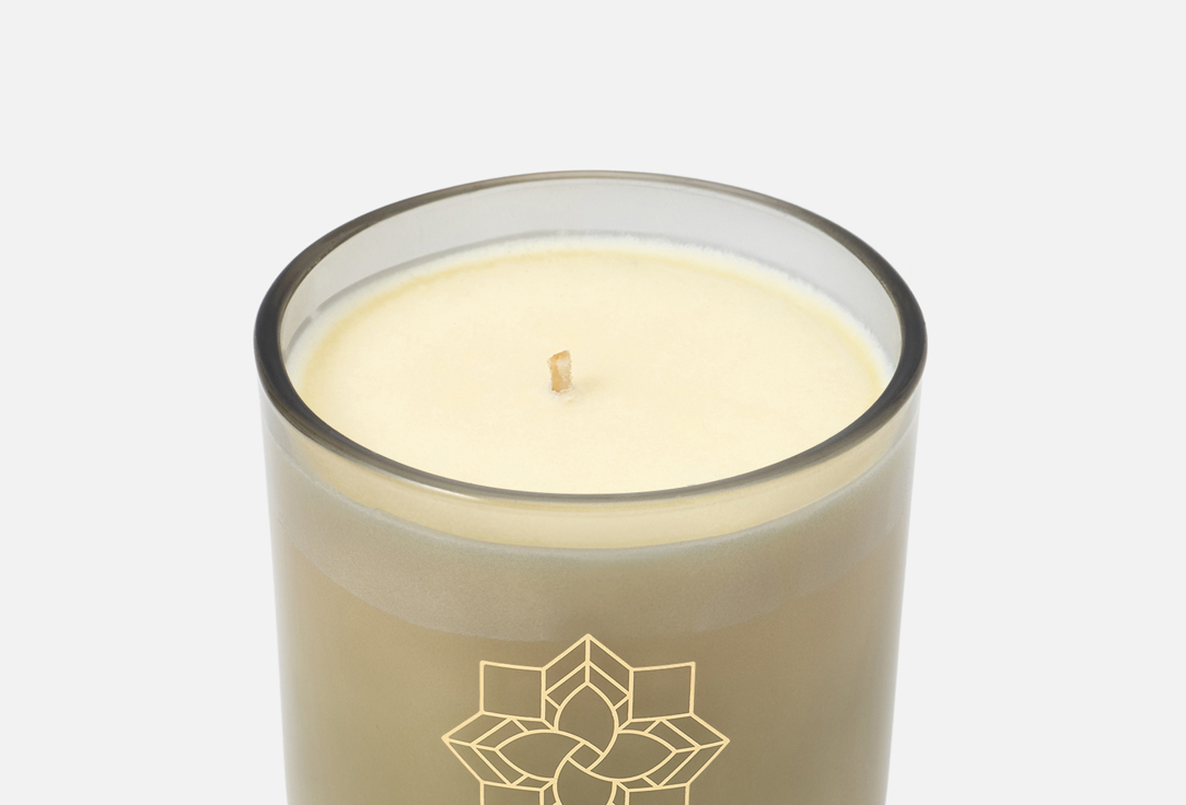 Max Benjamin CANDLE with LID Grapefruit Shores
