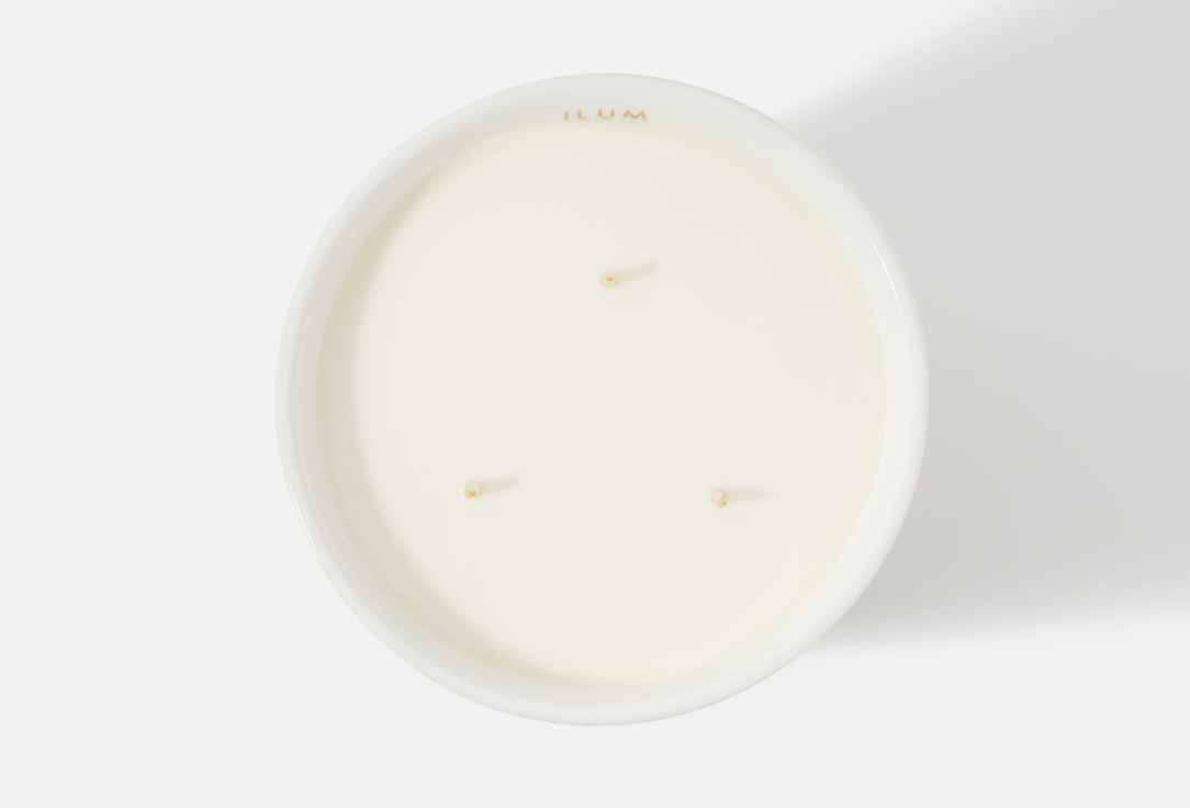 Max Benjamin Candle Basilica