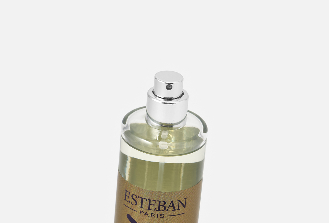 Esteban Paris Parfums Room spray Figue Black