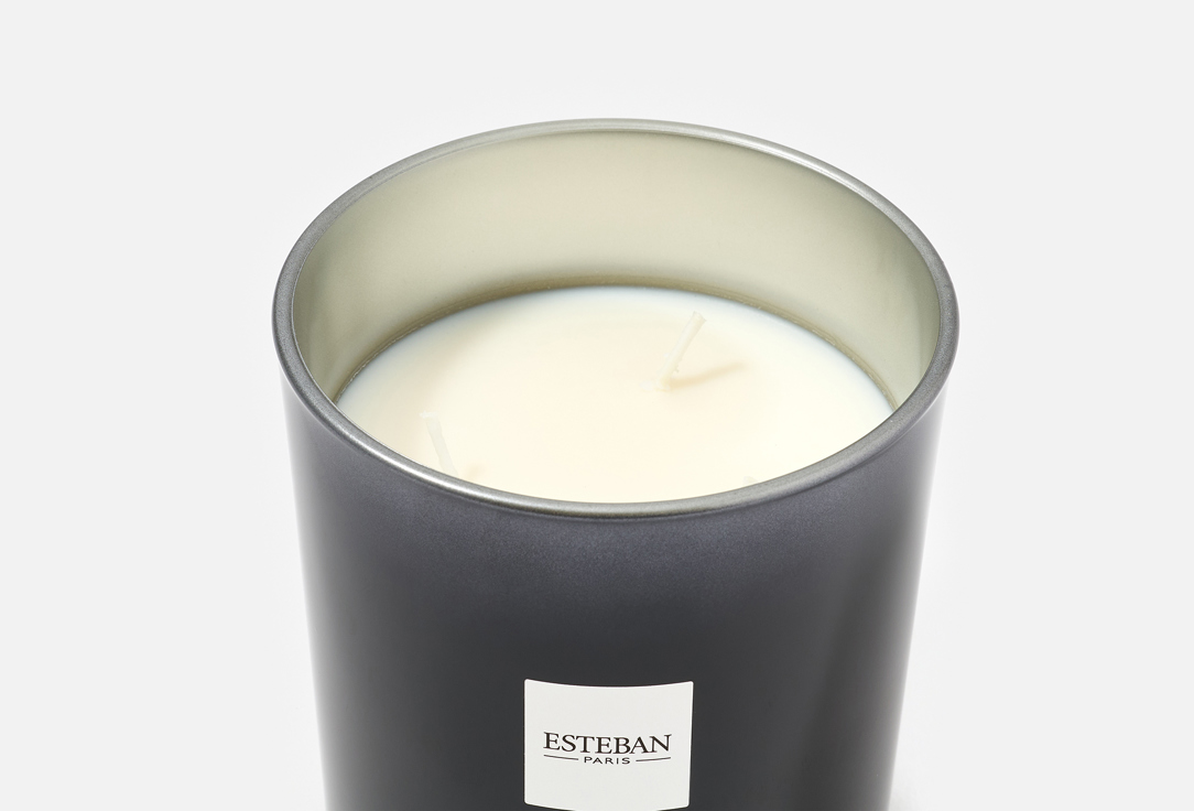 Esteban Paris Parfums Scented Candle Figue Black