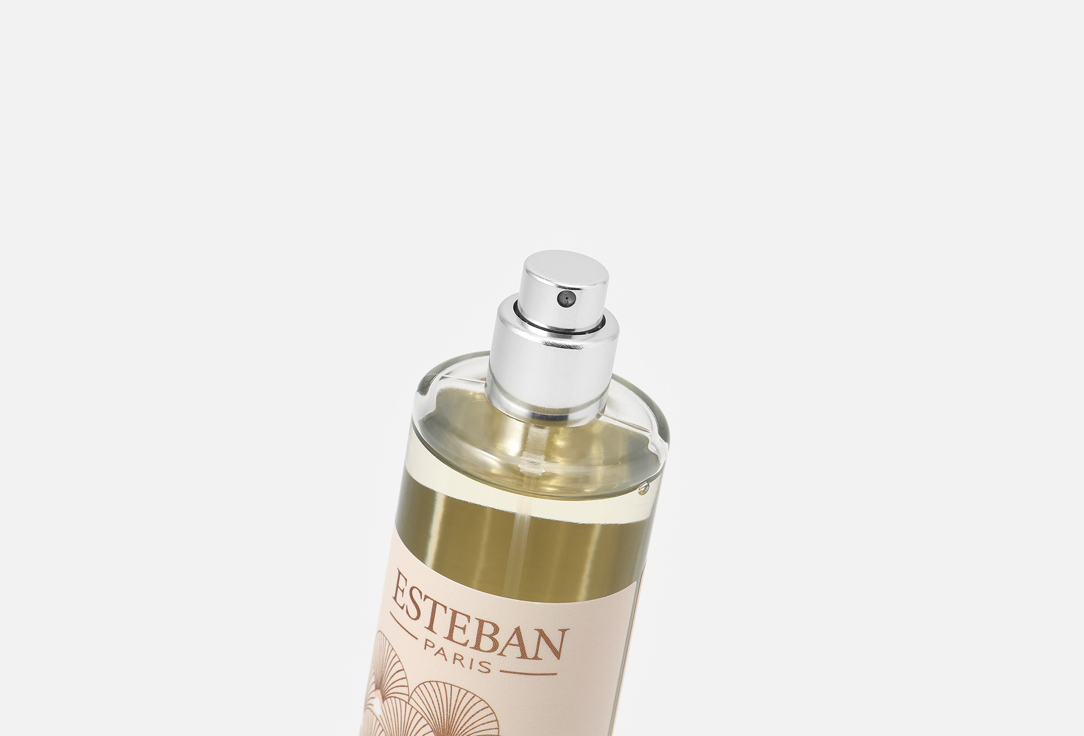 Esteban Paris Parfums Room spray Iris Cachemire