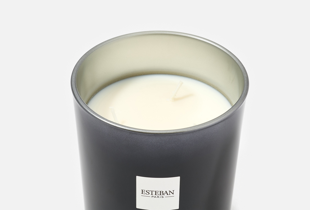 Esteban Paris Parfums Scented Candle Iris Cachemire
