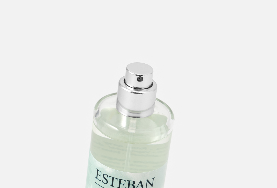 Esteban Paris Parfums Diffuser Pur lin