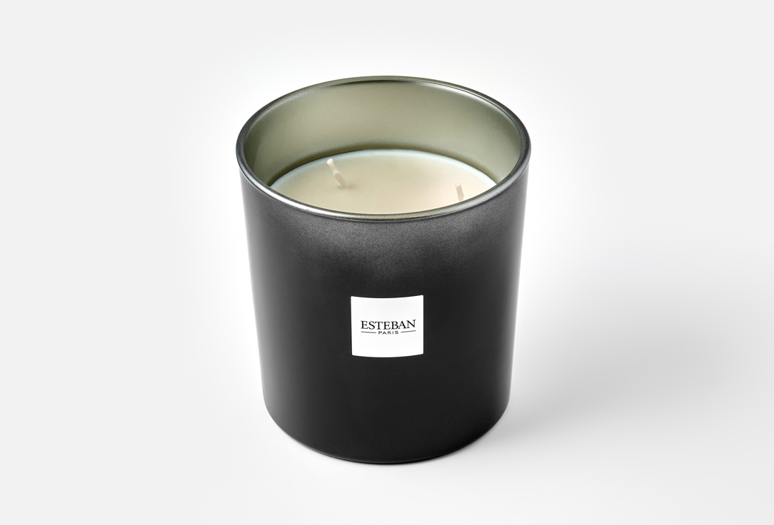 Esteban Paris Parfums Scented Candle Teck et Tonka