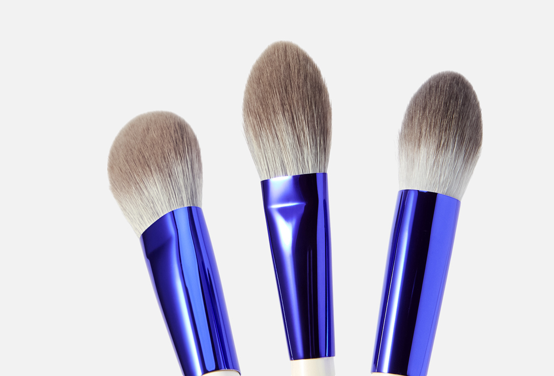 Manly PRO 10-Piece Professional Makeup Brush Set KS10