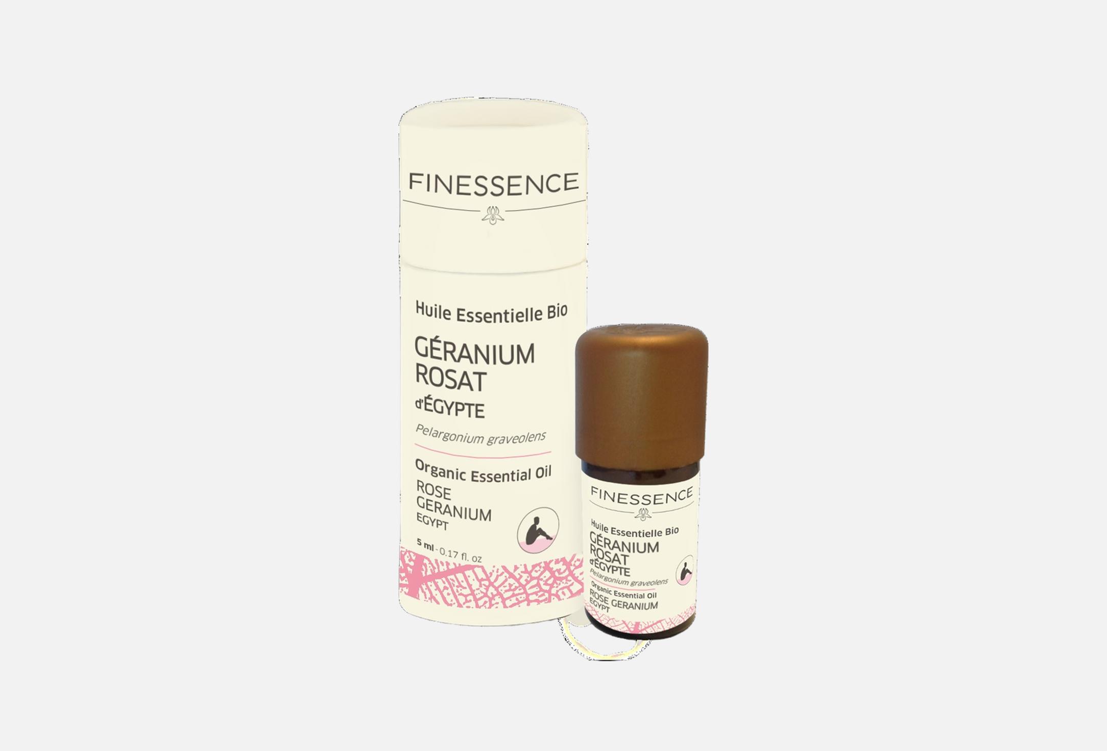 Rose Geranium - Pelargonium Asperum  5 