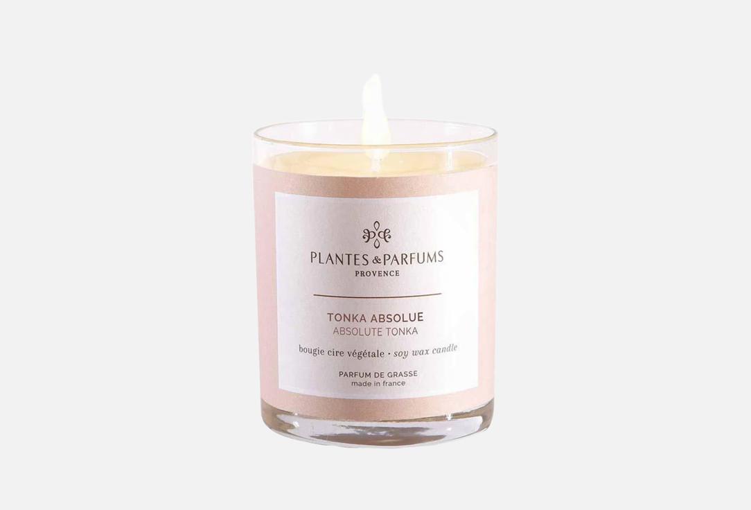 Plantes et Parfums de Provence Perfumed Candle Absolute Tonka