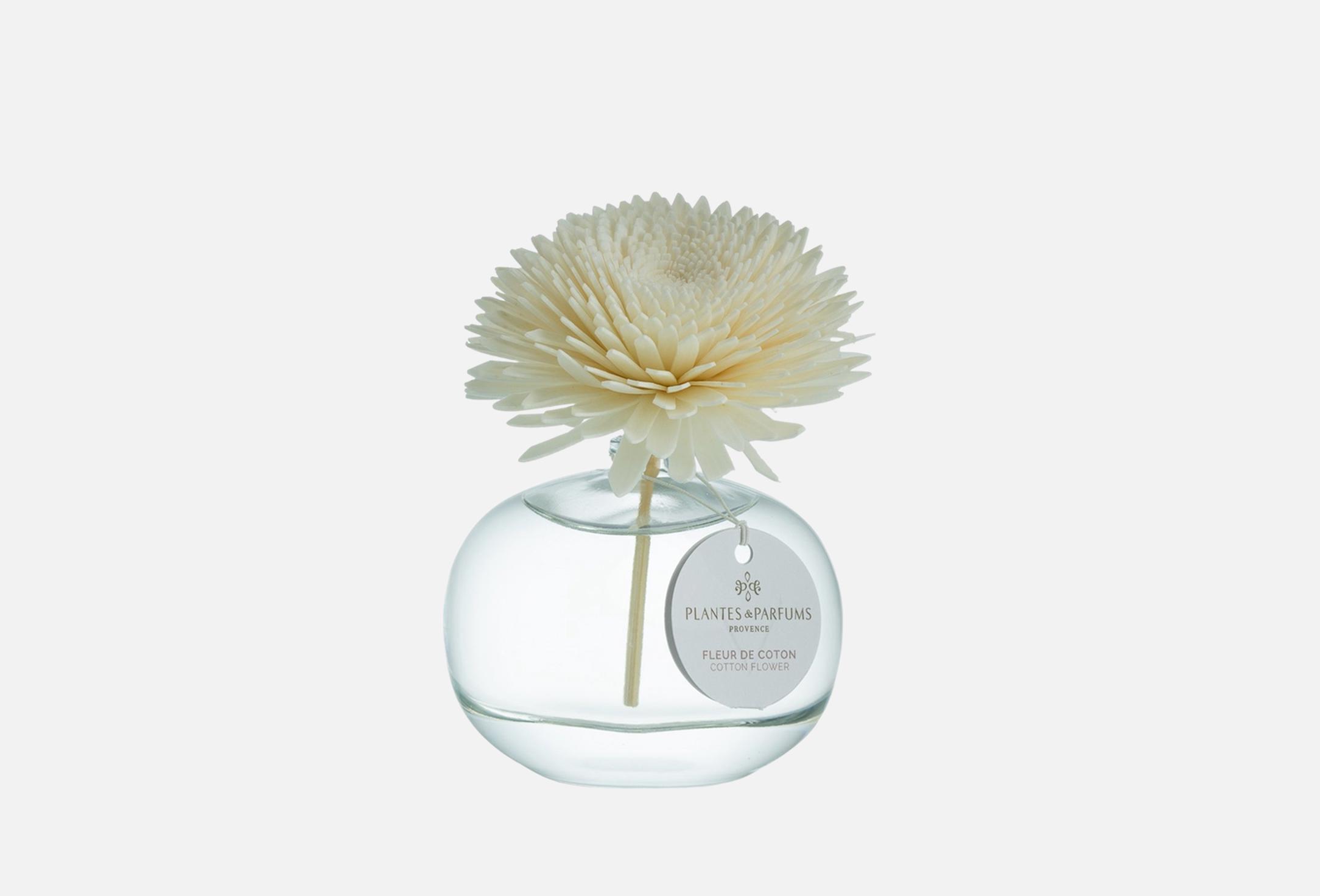 Cotton Flower  100 