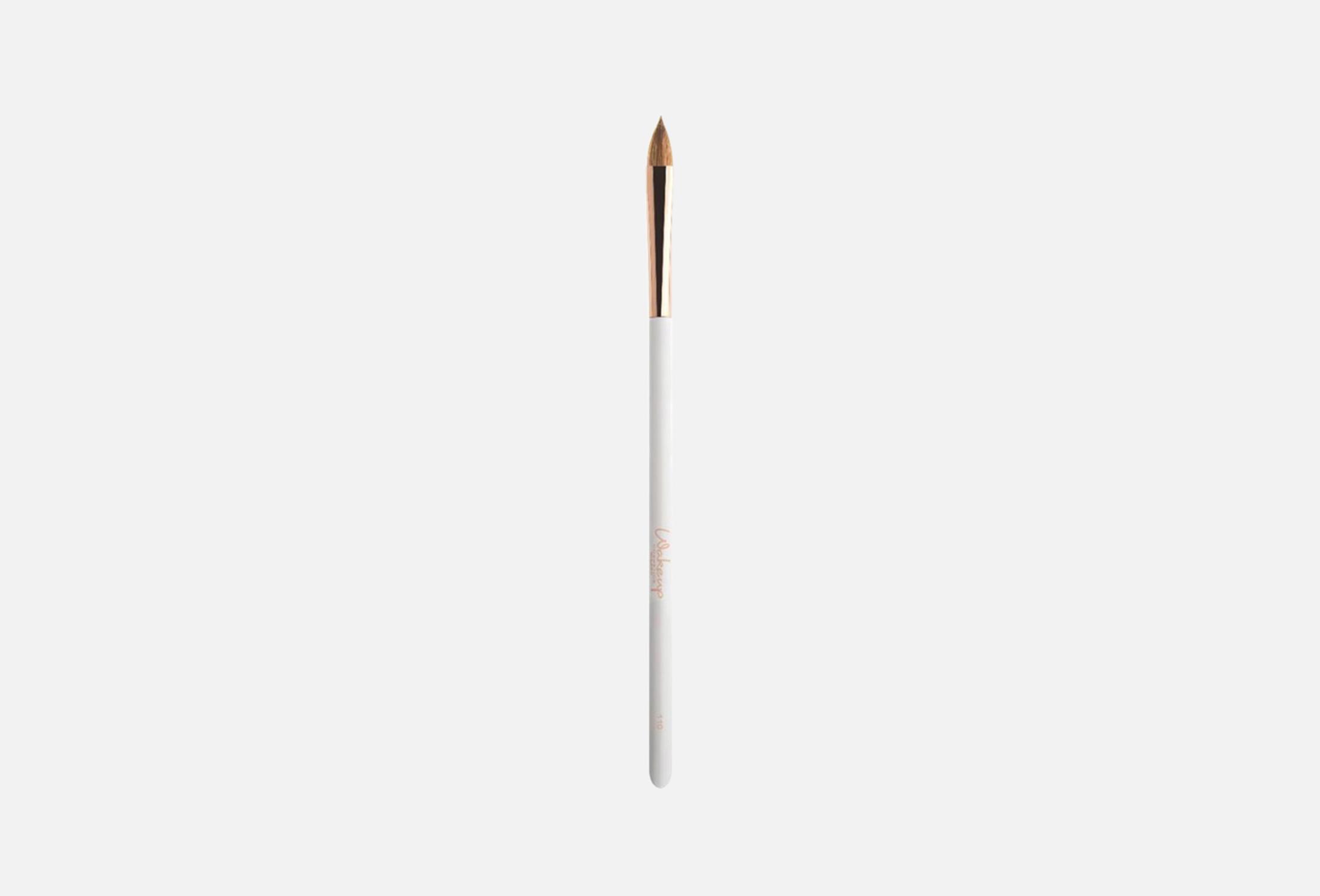 Lip Brush  1 