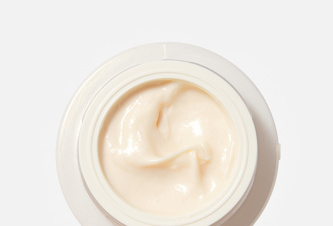 Shiseido Total Protective Cream 50ml Future Solution LX