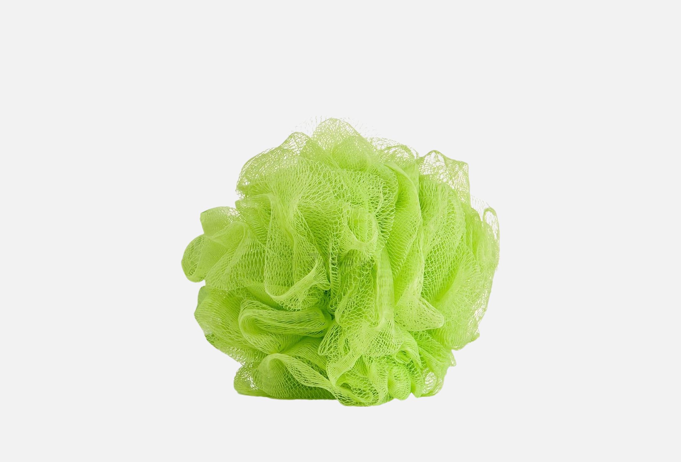 Aloes Sense Sponge  1 