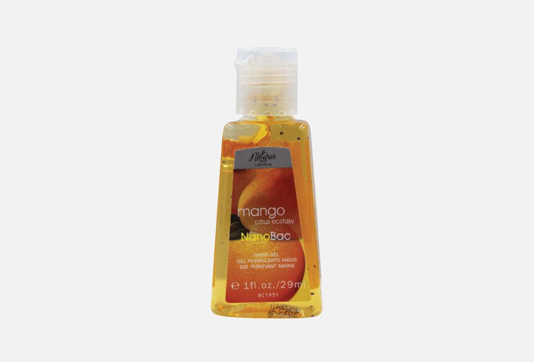 Natures Carnival Hand Sanitizer Mango Citrus Ecstacy