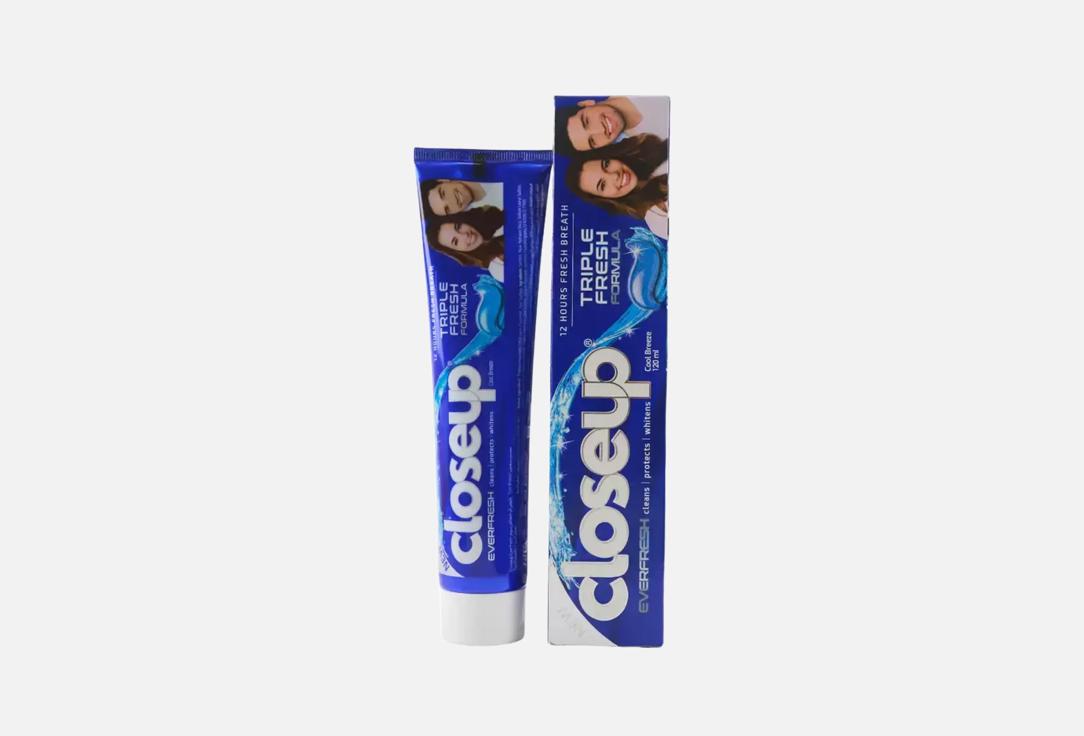 CLOSEUP Toothpaste Cool Breeze 120 ml CLOSEUP Toothpaste Cool Breeze